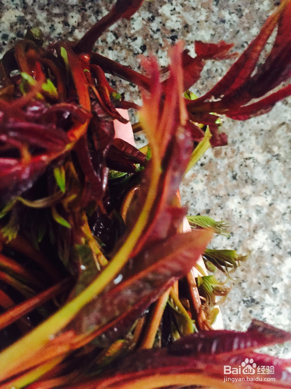 诱惑味蕾的香椿芽拌面