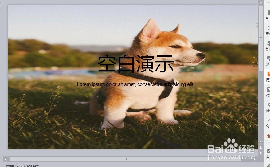 怎么把PPT图片放大到幻灯片大小？