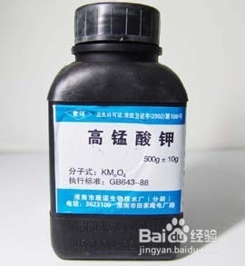 如何彻底清除温室中的白粉病