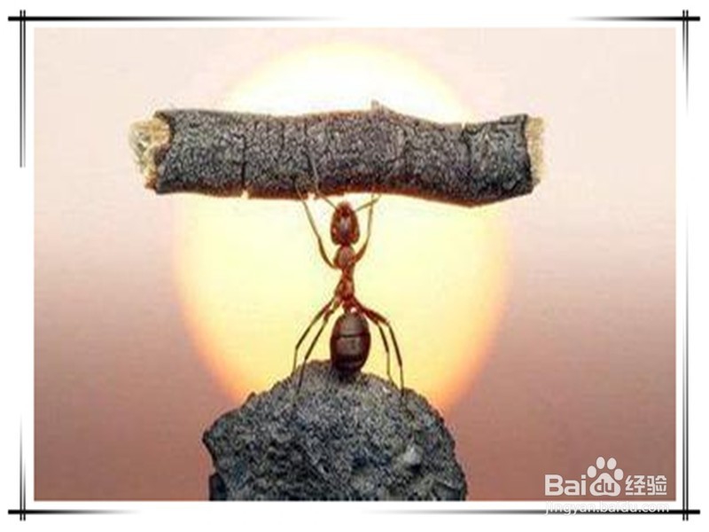 春天如何预防过敏性鼻炎?