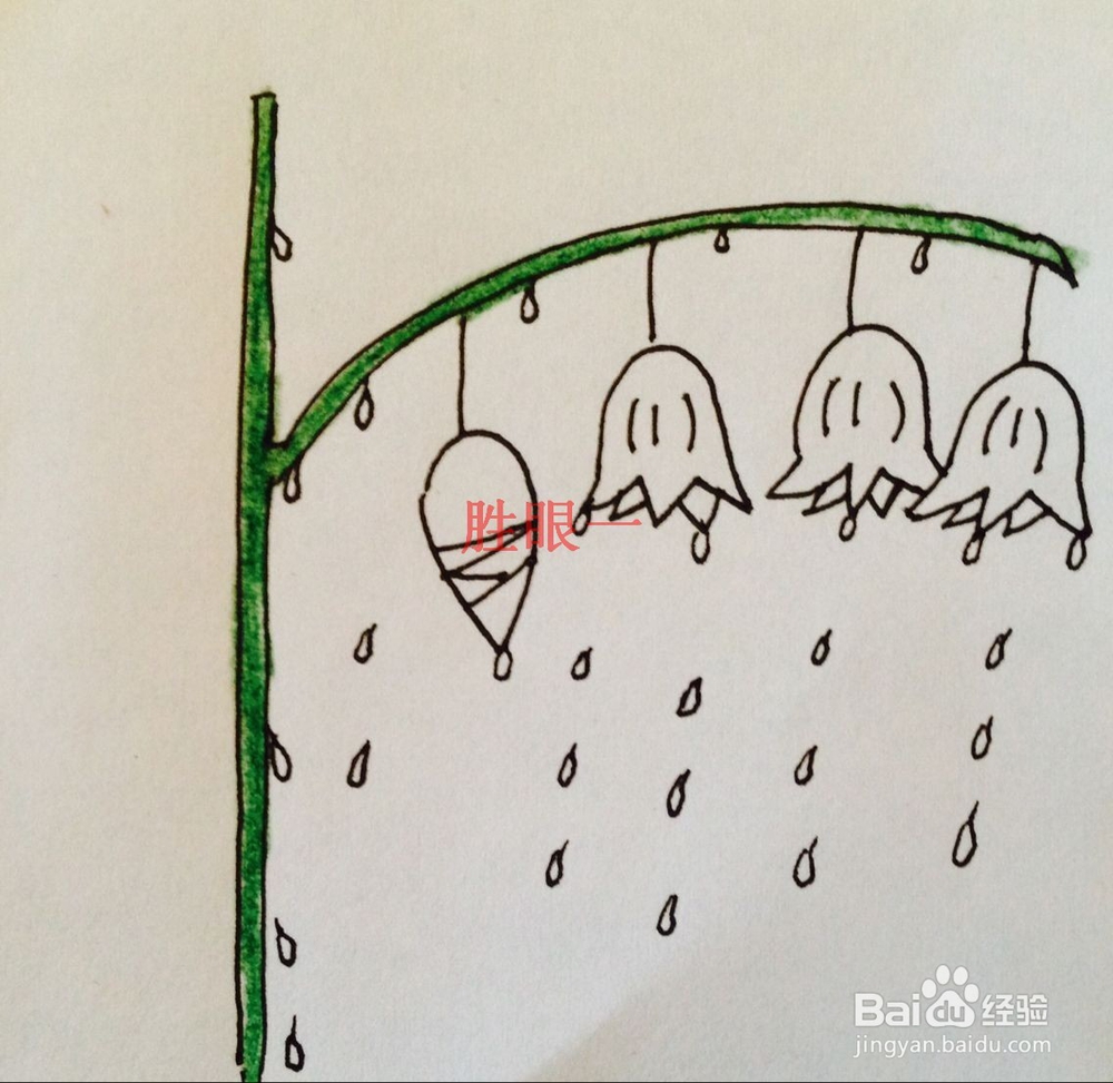 怎样画蝴蝶兰和铃兰花呢“雨后铃兰彩虹”