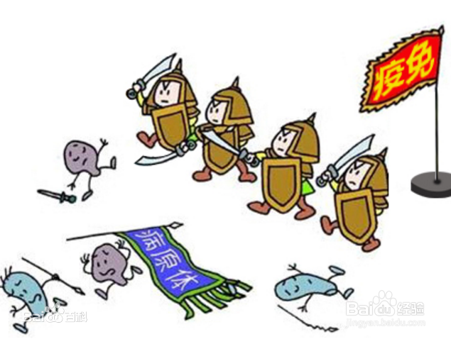 嘴上为什么会起水疱?