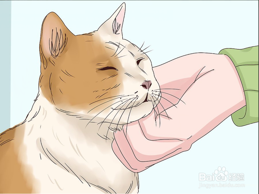 教你3种方法快速撸猫