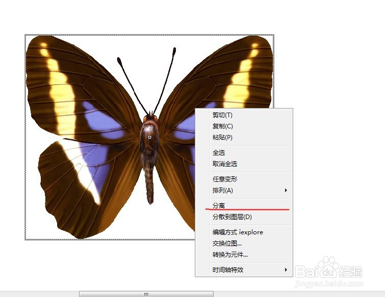 flash用蝴蝶做引导线动画的教程