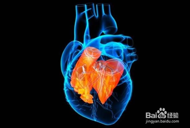 午睡对身体的健康益处