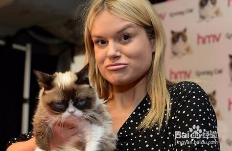 网红“不爽猫”伦家就是不爽不爽啦