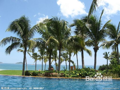 三亚到底是怎样一座旅游城市？