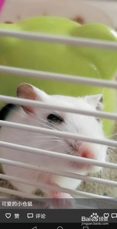 朋友圈怎么全部清空