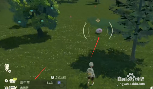 宝可梦阿尔宙斯盾甲茧在哪抓