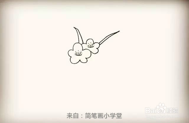 【梅花简笔画怎么画】梅花的画法