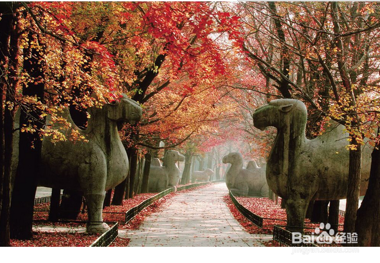 上海清明长假适合去哪玩?