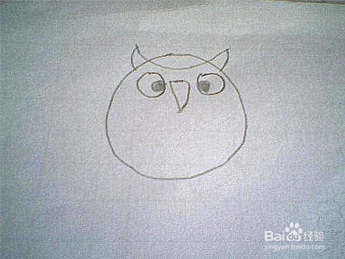 简笔画猫头鹰这样画