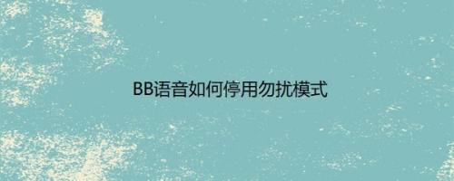 BB语音如何停用勿扰模式