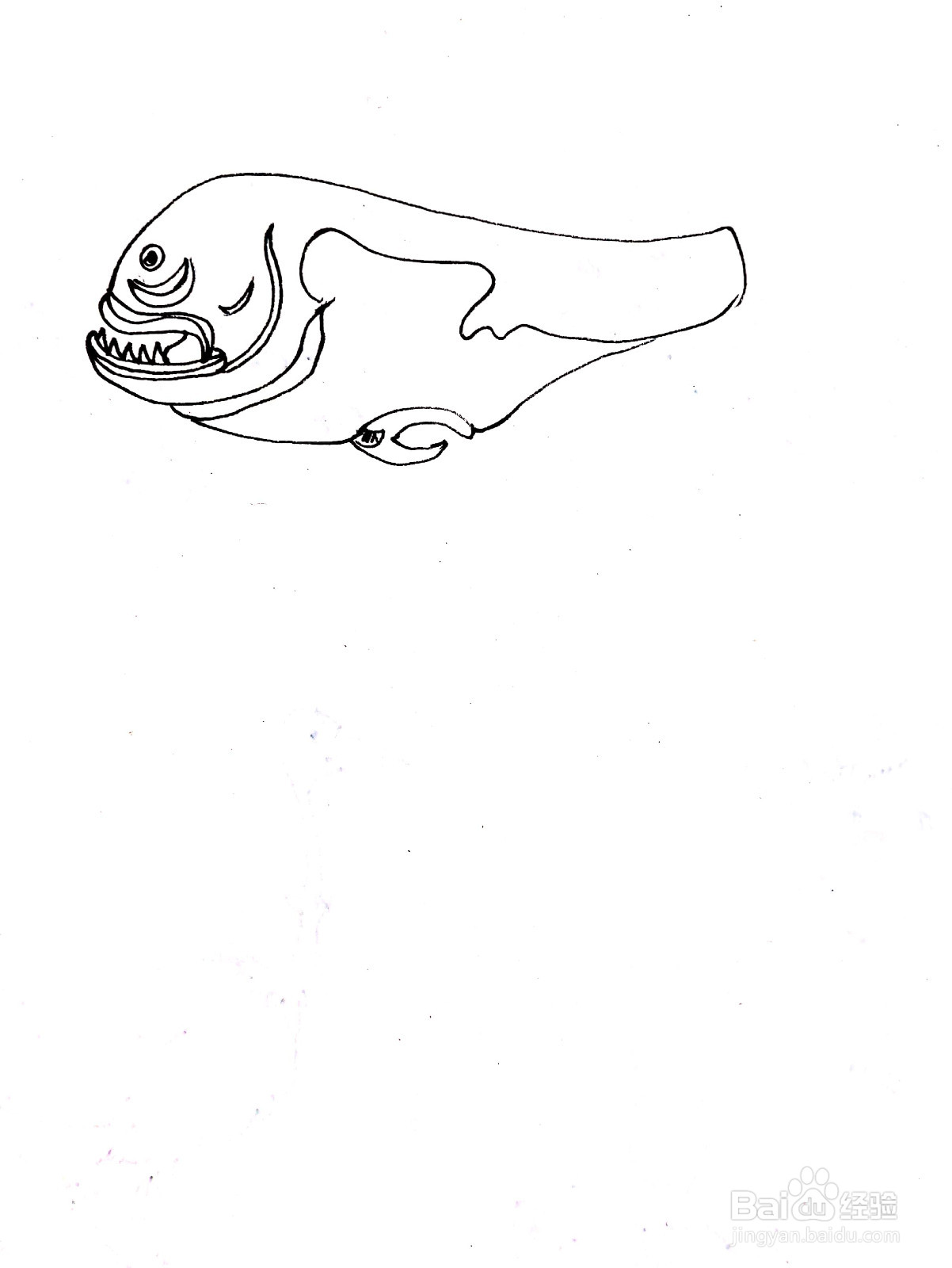 昂刺鱼线描画怎么画
