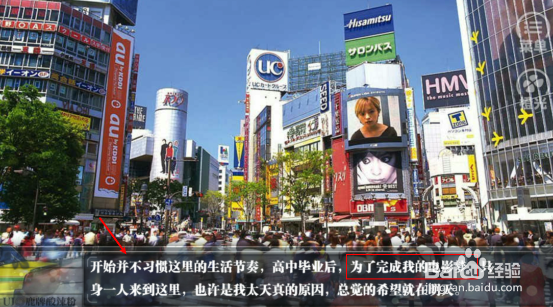 橙光一吻定情攻略