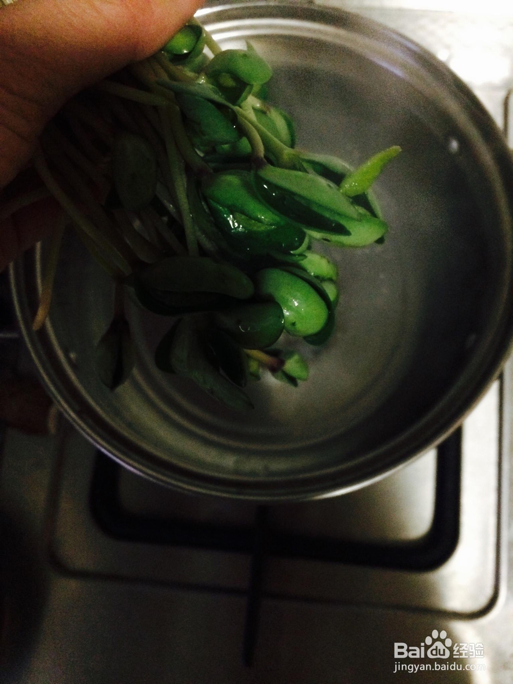 营养美味的豆苗鸡肉馄饨