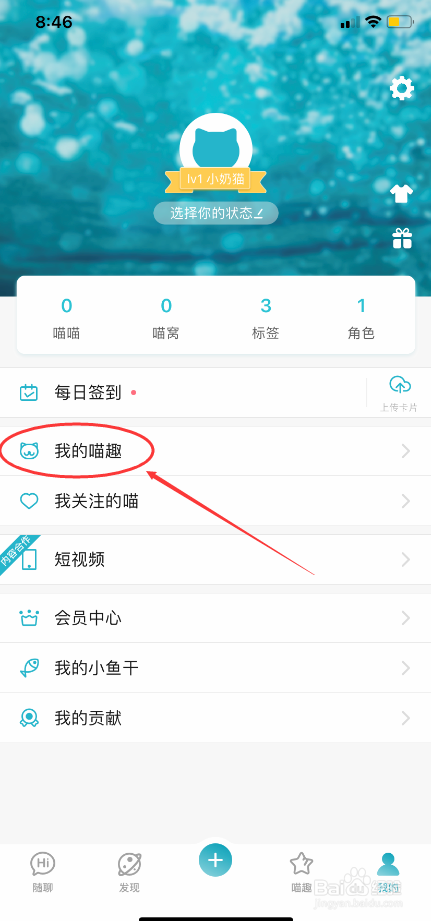 随猫树洞怎么发布喵趣