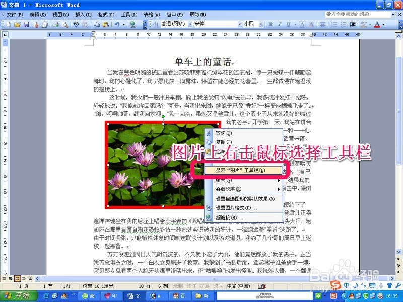 word操作教程：[1]插入图片的设置