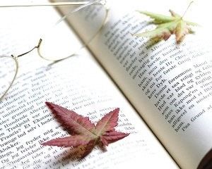 感悟经典征文如何写（感悟经典的征文1000字）