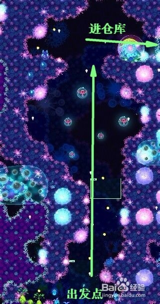 华丽荧光鱼攻略