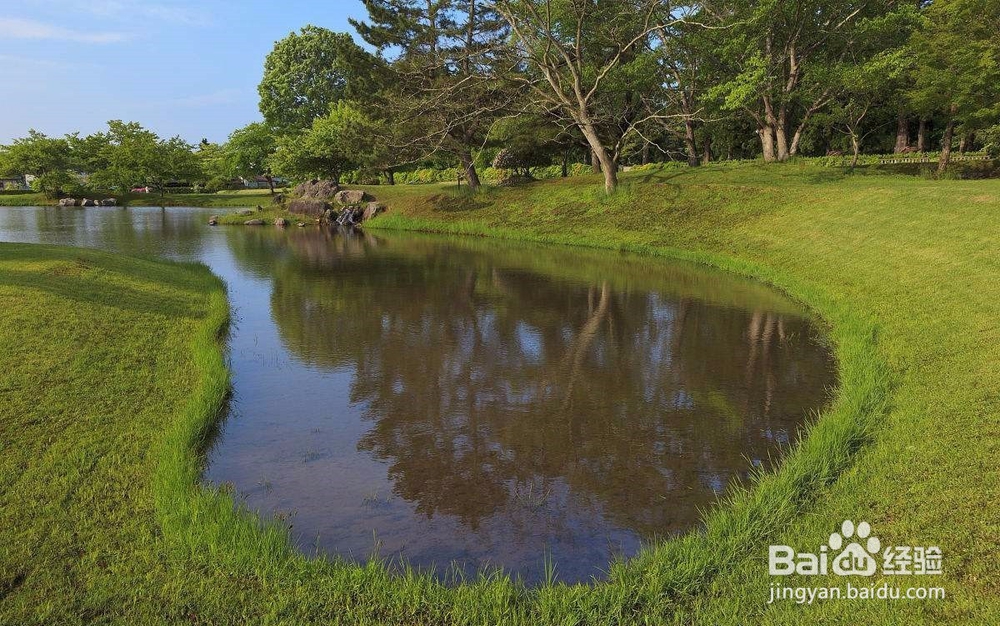 如何调控养殖池塘混浊水色