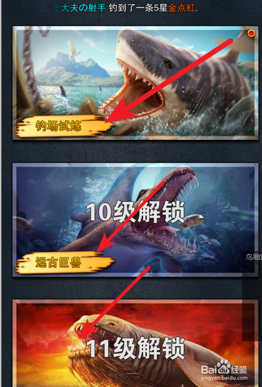 世界钓鱼之旅中,如何玩转挑战