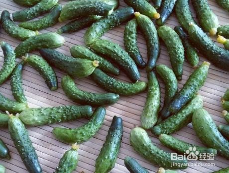 家庭自制腌黄瓜扭子