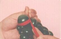 魔法气球造型系列之气球忍者神龟