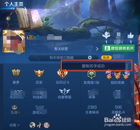 苹果手机更新王者要ID怎么更新？