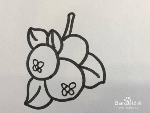 满树的杏子怎么画