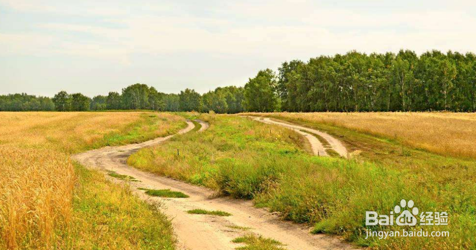 如何识别长城一日游骗局