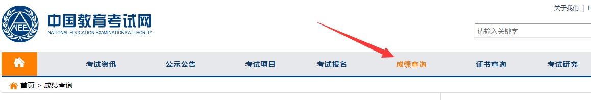 怎么网上查询全国外语水平考试成绩