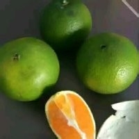 身体皮肤粗糙怎么变光滑