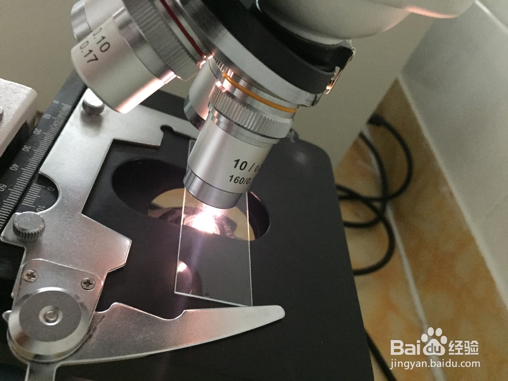 显微镜的使用视频