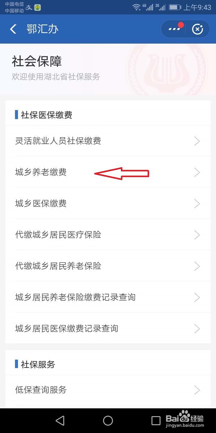 湖北怎么网上交养老保险？