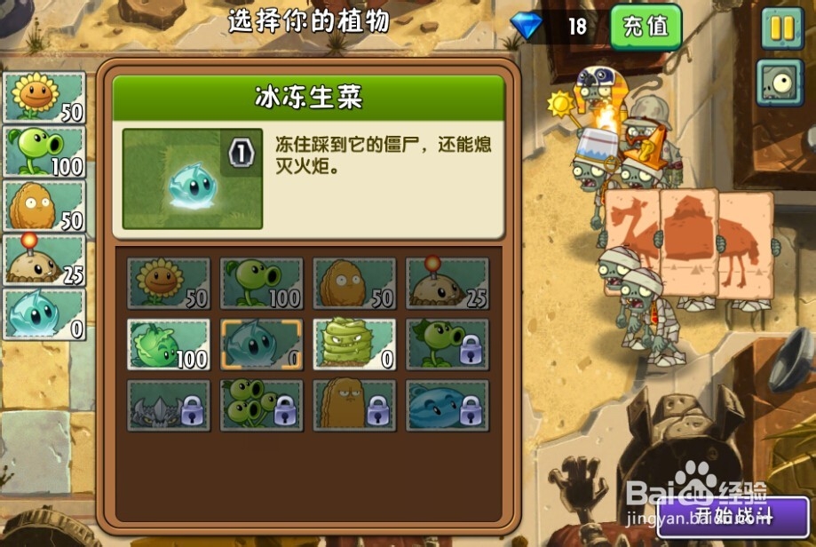 植物大战僵尸2：第2天的种子保卫战