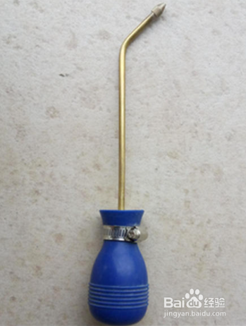 家里有白蚂蚁怎么能彻底消灭