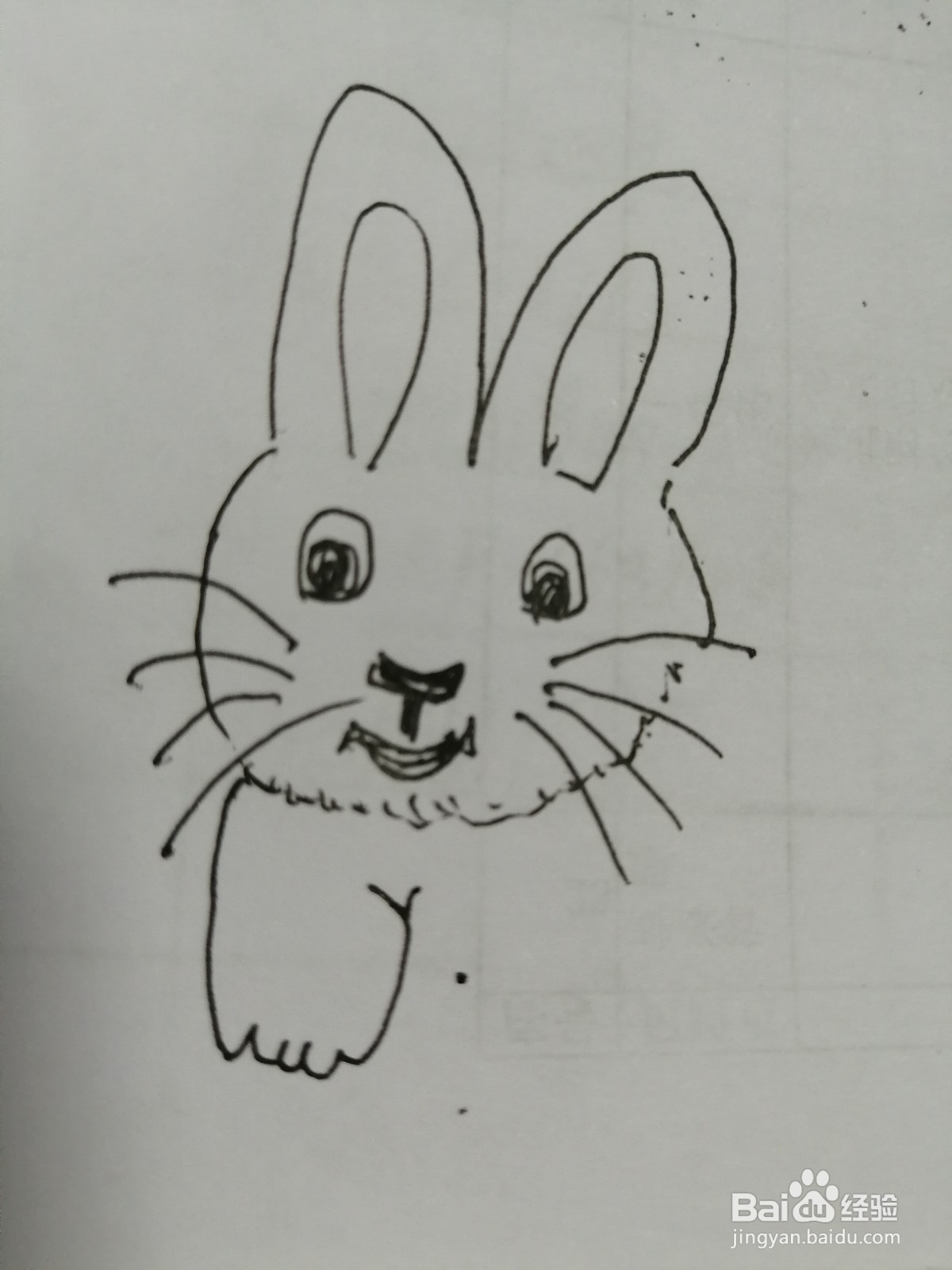 简笔画小白兔怎么画