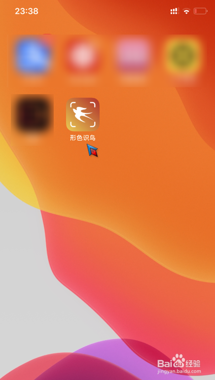 怎么使用手机拍照识别鸟类名称