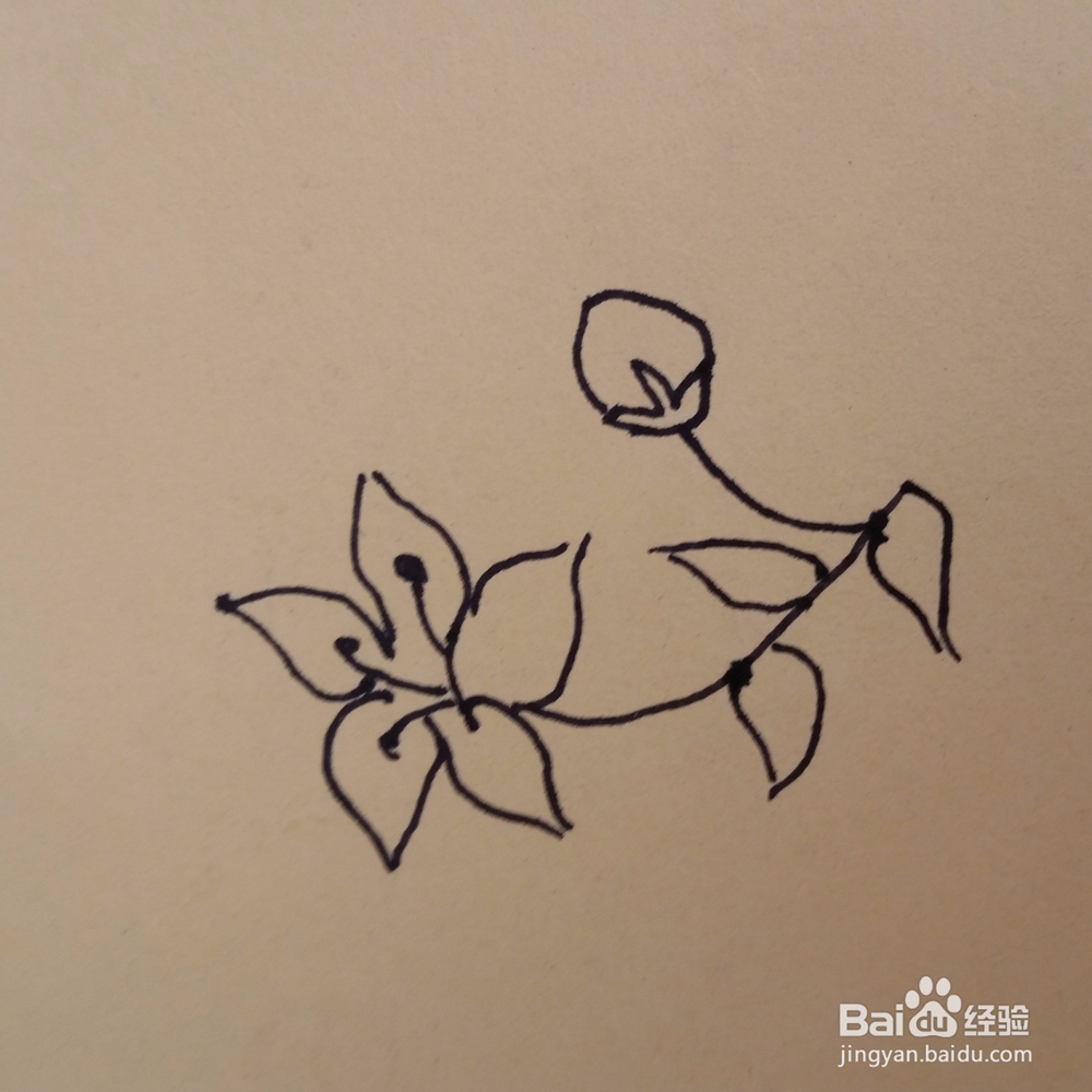 桔梗儿童手工简笔画教程