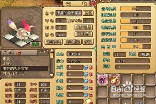 新梦幻之城刺客进阶段攻略