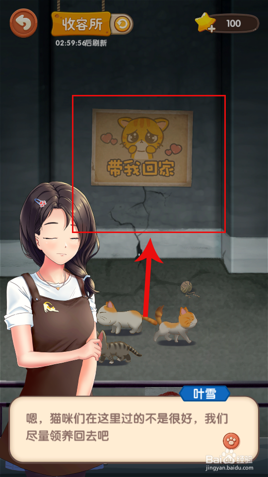 猫语咖啡怎么领养猫