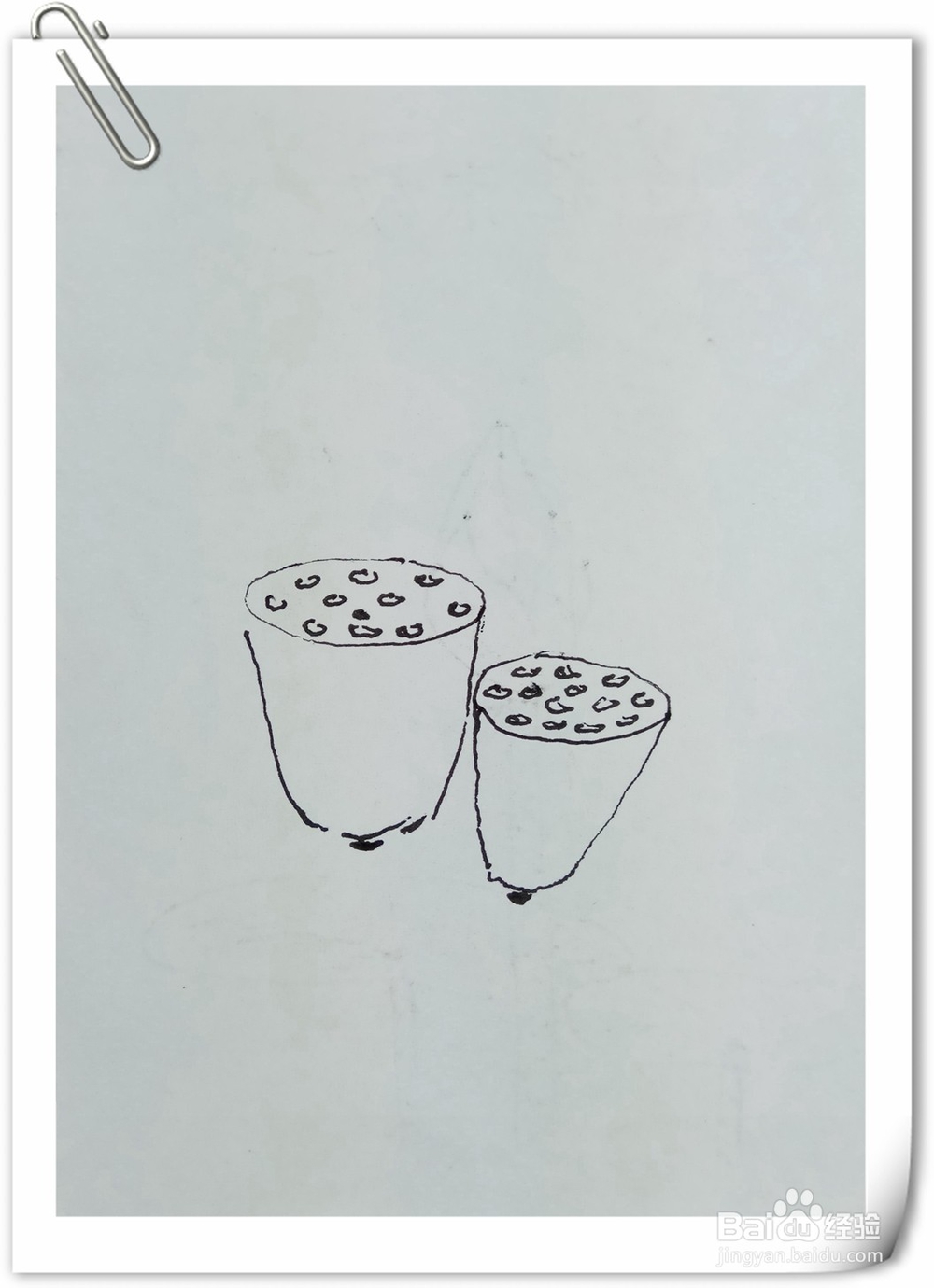 怎样画钢笔画莲子蓬