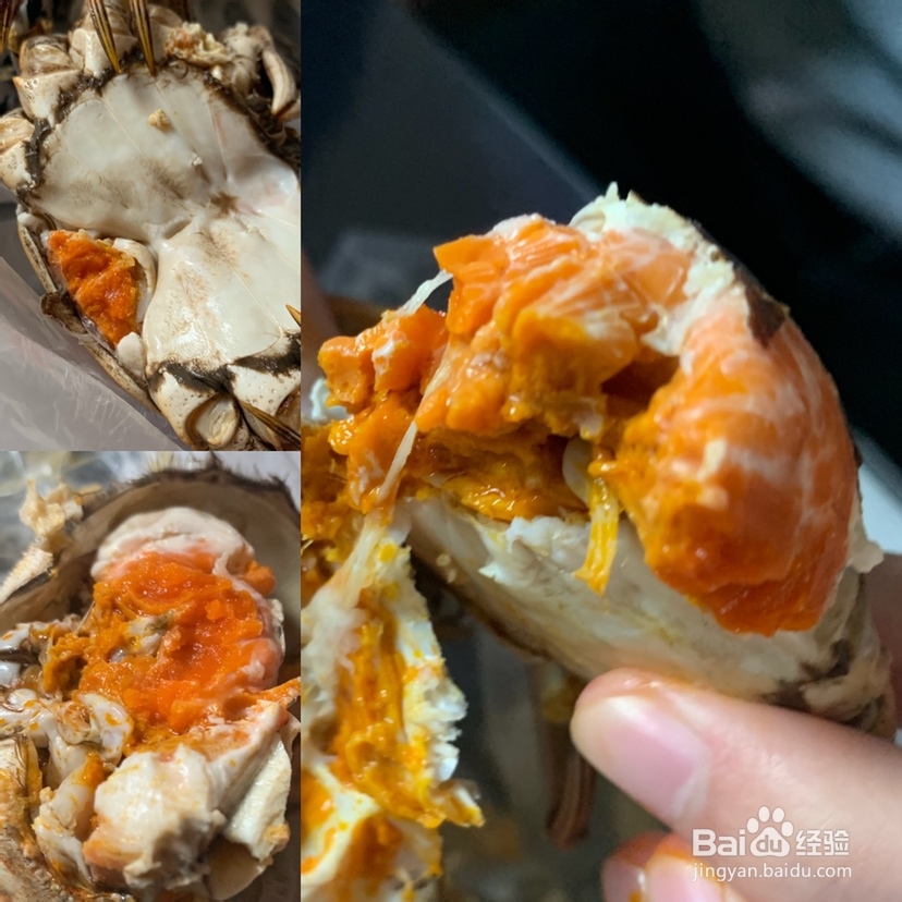 馋哭朋友的清蒸大闸蟹