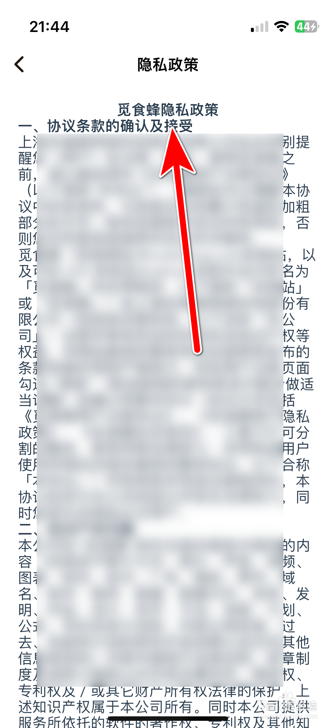 觅食蜂如何查看隐私政策