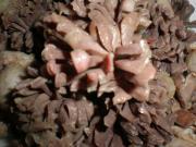 怎样自制爆炒鸡胗