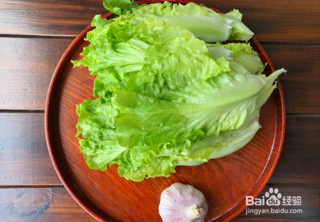 生菜怎么釆摘可以再次生长