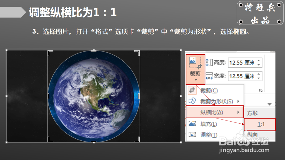 如何巧用PPT裁剪图片？
