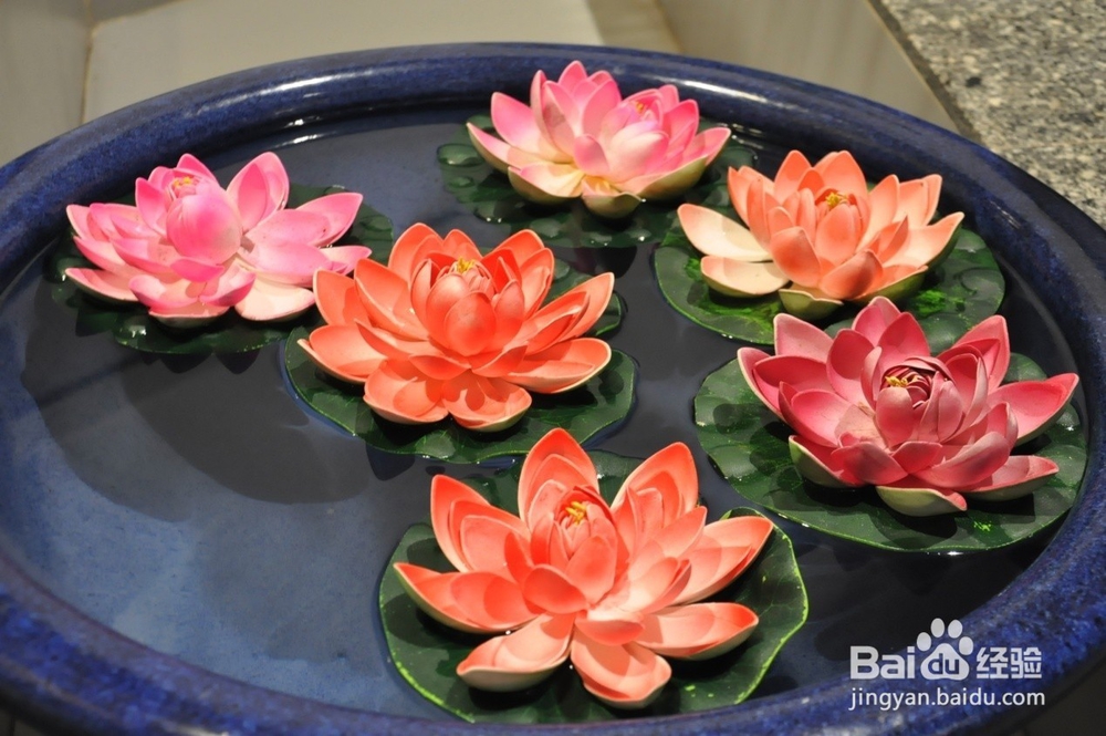 社会公益活动之“珠海一日游”