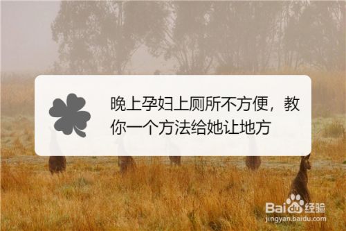 晚上孕妇上厕所不方便 教你一个方法给她让地方 百度经验